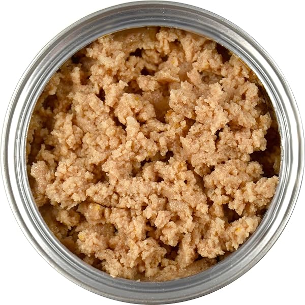 EVANGER’S COMPLEMENTS RABBIT FOR DOGS & CATS – 12 COUNT, 12.5 OZ EACH – SINGLE-PROTEIN FORMULA COOKED IN BROTH – GRAIN & GLUTEN FREE – WET DOG & CAT FOOD