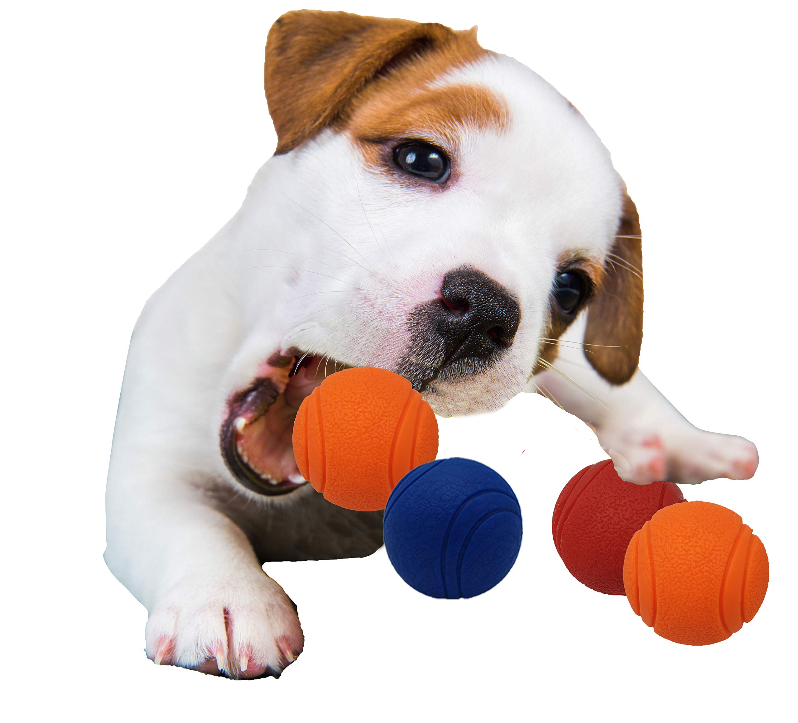 2x 5cm Solid Core Rubber Ball HIGH BOUNCING Dog Toys Indestructible Virtually Tough Dog Toys Interactive Dog Toys Strong Rubber Balls for dogs (4 Balls)