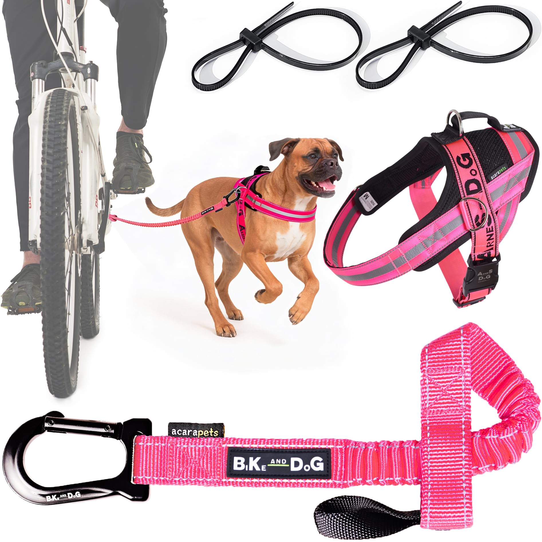 BIKE AND DOG - Dog leash and dog harness for bicycle, harness with side rings, includes 2 bicycle straps. Patented. (Pink, Leash-harness M)