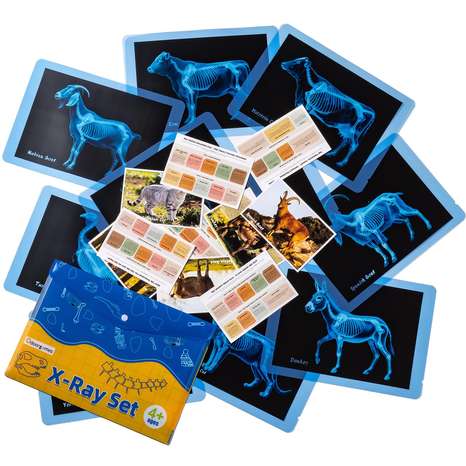 Odoorgames Farm Animal Xrays – 10 Pcs Animal Science Kit for Kids, Light Table Accessories for Vet Role Play & Preschool Learning
