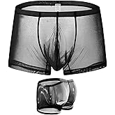 ZONBAILON Mens Sexy Underwear See Through Silk Boxer Pouch Briefs Breathable Mesh Trunks Pack