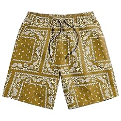DIOTSR Mens Paisley Casual Shorts Retro Graphic