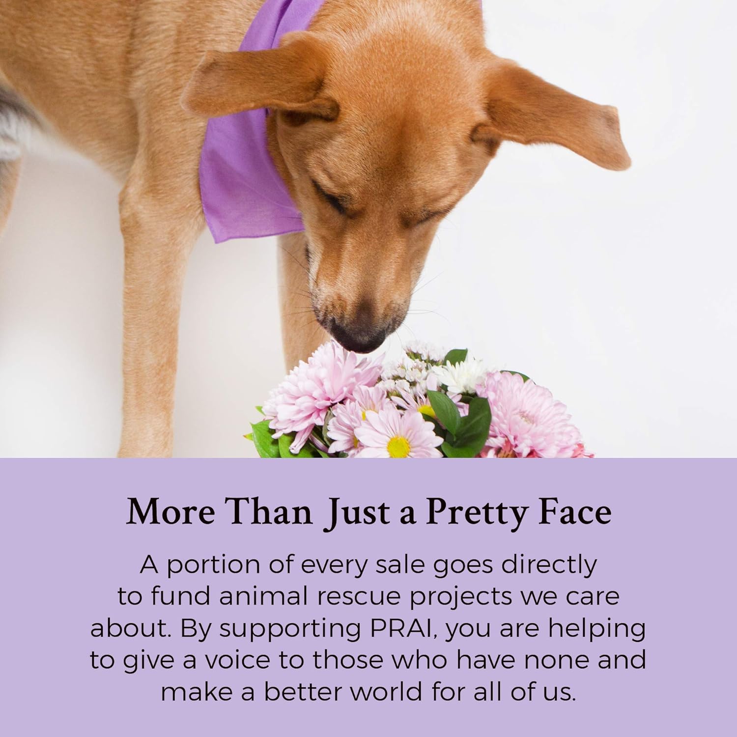 prai ageless lip line filler