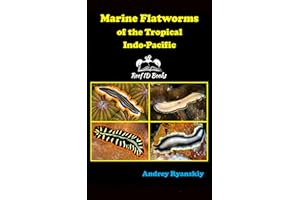Marine Flatworms of the Tropical Indo-Pacific (Coral Reef Academy: Indo-Pacific Photo Guides Book 1)