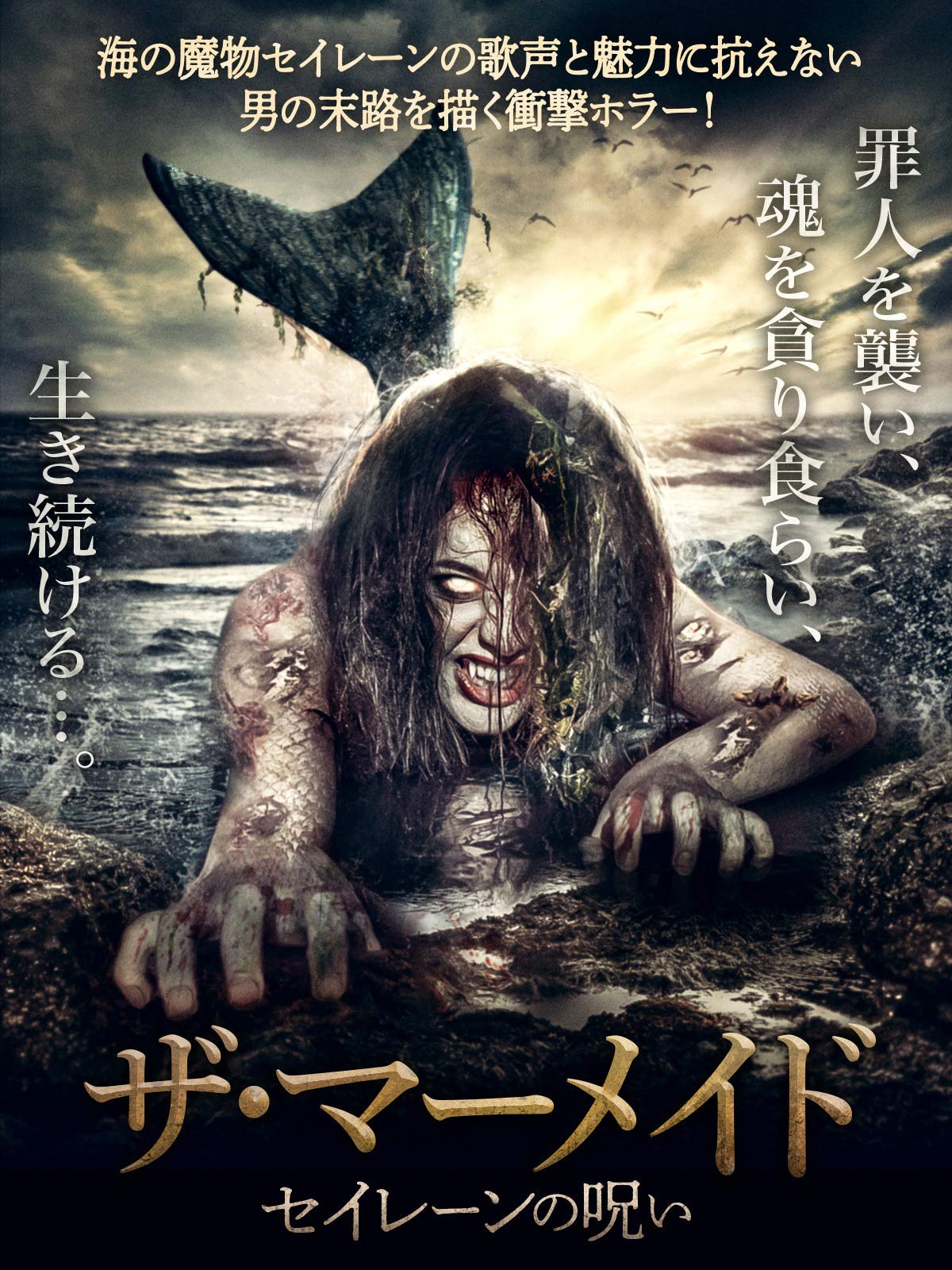 Amazon Co Jp バチカン テープ 字幕版 を観る Prime Video Amazon Co Jp バチカン テープ 字幕版 を観る Prime Video