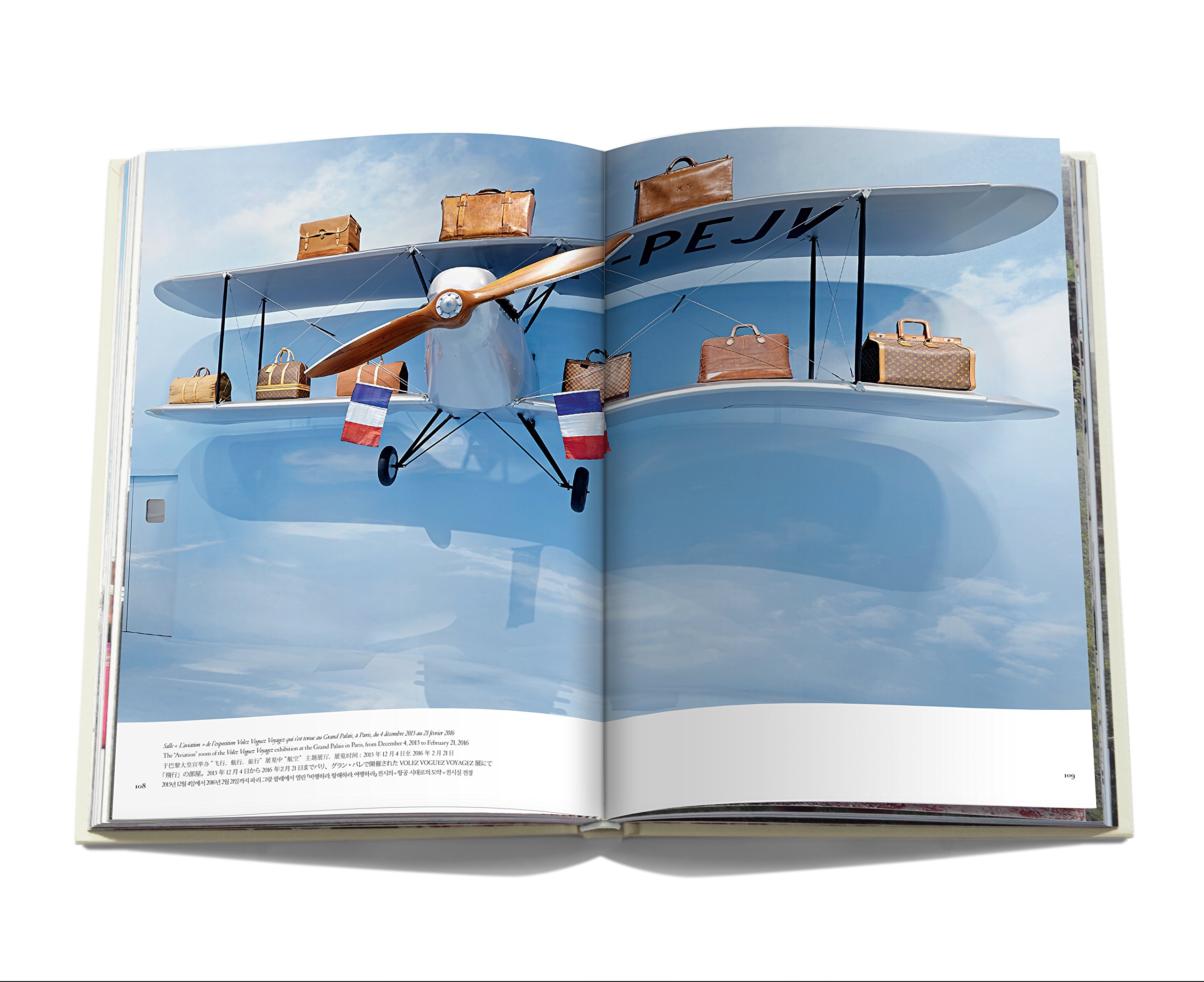 Amazon - Volez Voguez Voyagez (Icons): Vuitton Malletier, Louis:  0882664353421: Books