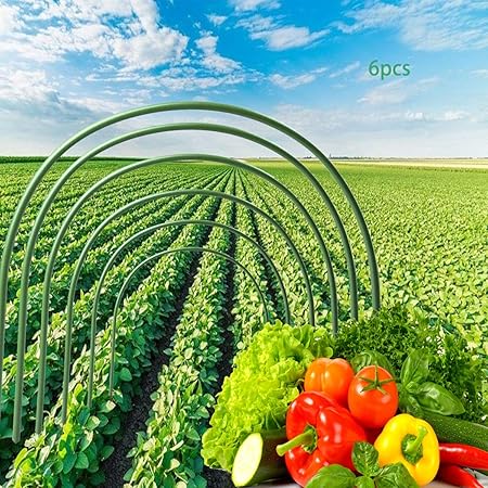 Amazon.com : Support Hoop Greenhouse Frame Garden Hoops-6Pack, 4Ft Long