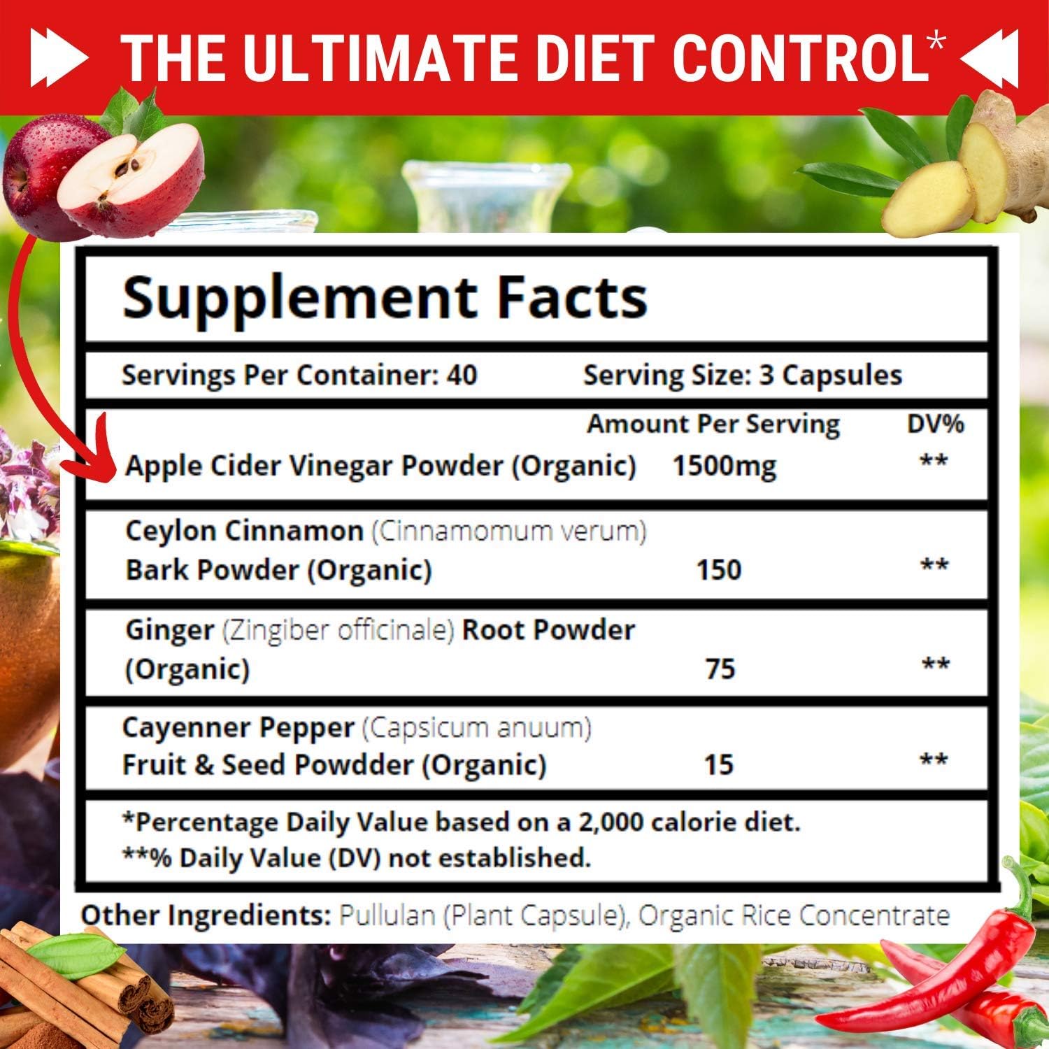 Premium Apple Cider Vinegar Pills Max 1740mg with Mother - 100% Natural & Raw with Cinnamon, Ginger & Cayenne Pepper - Ideal for Healthy Blood Sugar, Detox & Digestion-120 Vegan Capsules: Health & Personal Care