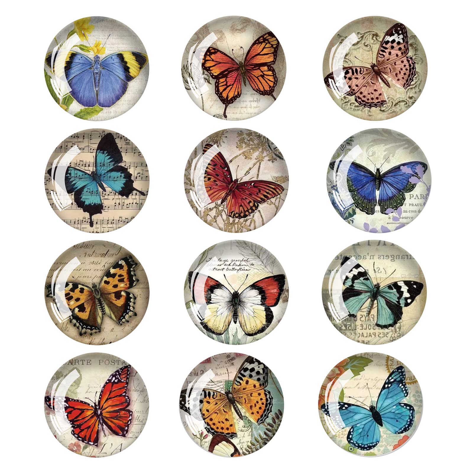 FuninCrea 12 Pack Butterfly Fridge Magnets 3D Glass Notice Board Office Magnets Set Vintage Butterfly Small Fridge Magnets Decorative Refrigerator Magnets for Home Office Whiteboard (02#)