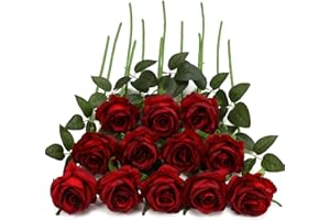 HAWESOME 12PCS Artificial Roses Silk Flowers Fake Roses Bouquet Long Stem for Home Wedding Decoration Party (Wine)