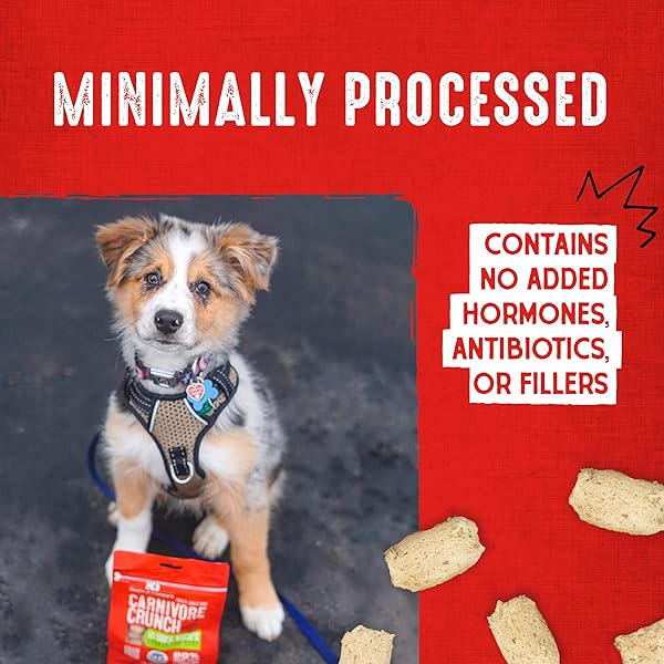 STELLA & CHEWY’S FREEZE-DRIED RAW DOG TREATS – CARNIVORE CRUNCH FOR TRAINING – NATURAL LIMITED INGREDIENT, GRAIN-FREE – PERFECT FOR PICKY EATERS – GRASS-FED BEEF RECIPE – 3.25 OZ BAG