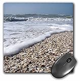 3dRose LLC 8 X 8 X 0.25 Inches Seashells, Sanibel