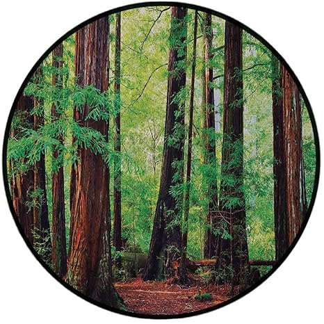 Amazon Com Printing Round Rug Woodland Decor Redwood