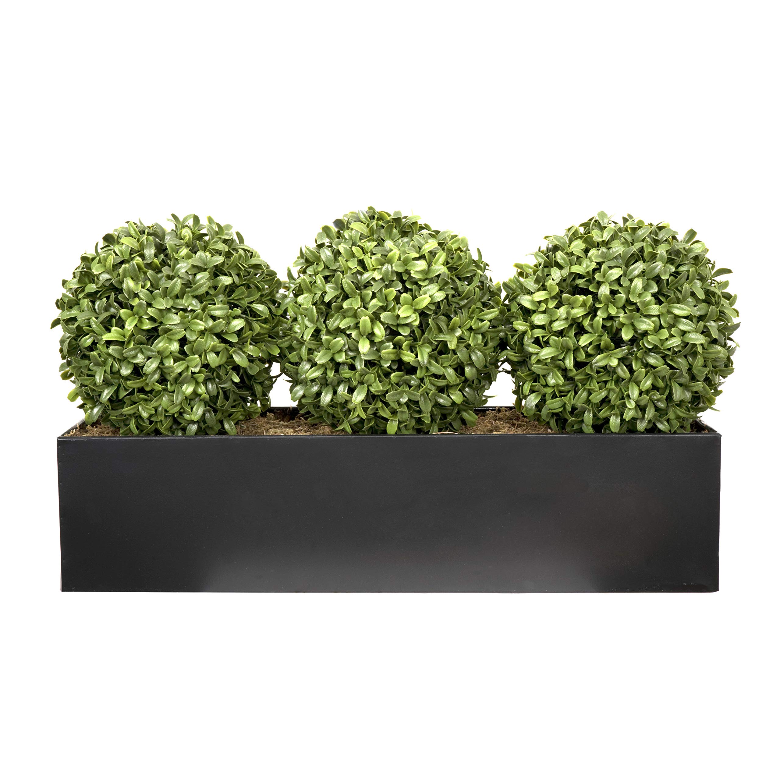 Topiary Ball (54cm) Window Box Black, Triple