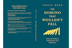 The Domino That Wouldn't Fall: Stories of Resilience, Ridiculousness and Bad Posture