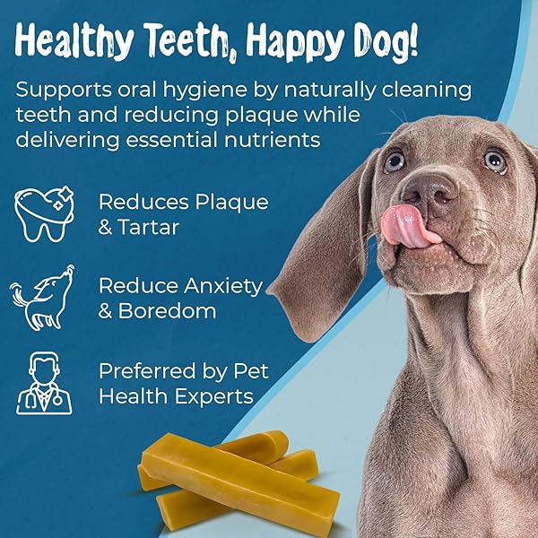 MAKALU DOG CHEW LARGE CHEWING STICKS FOR DOGS-HEALTHY YAK & COW MILK DOG TREATS FOR STRONG BONES & TEETH EASY TO DIGEST DOG CHEWS FOR AGGRESSIVE CHEWERS ODOR & MESS FREE BULLY STICKS(1 STICK PER PACK)