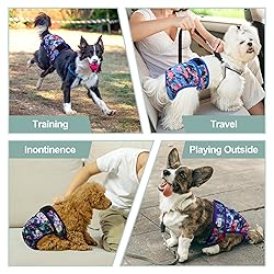 Female Dog Diapers - Premium Reusable Diapers for