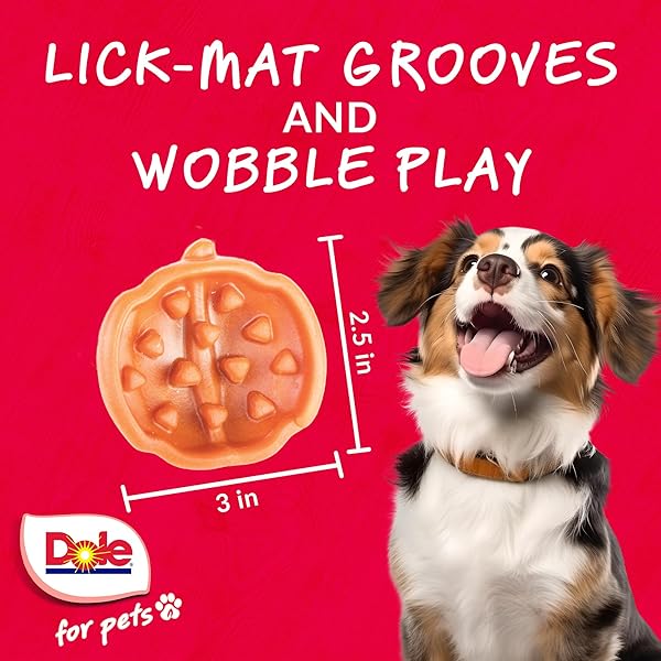 DOLE FOR PETS FRESHLY FETCHED LASTING CHEW PUMPKIN FLAVOR DOG TREATS, MEDIUM AND LARGE BREEDS, NO WHEAT, CORN, SOY, ARTIFICIAL FLAVORS, COLORS, OR ANIMAL PRODUCTS, 8 OUNCES, 5 CHEWS