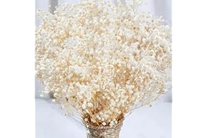 BEERFINGO 4000+ Dried Babys Breath Flowers Bulk - 17" Ivory White Dried Flower Bouquet, Real Natural Gypsophila Branches for Vase Filler, Wedding, Table Centerpiece, Home Decor, DIY Wreath Floral, Crafts