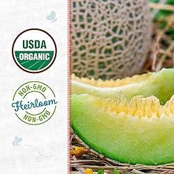 Back to the Roots 100% Organic Seed Packet