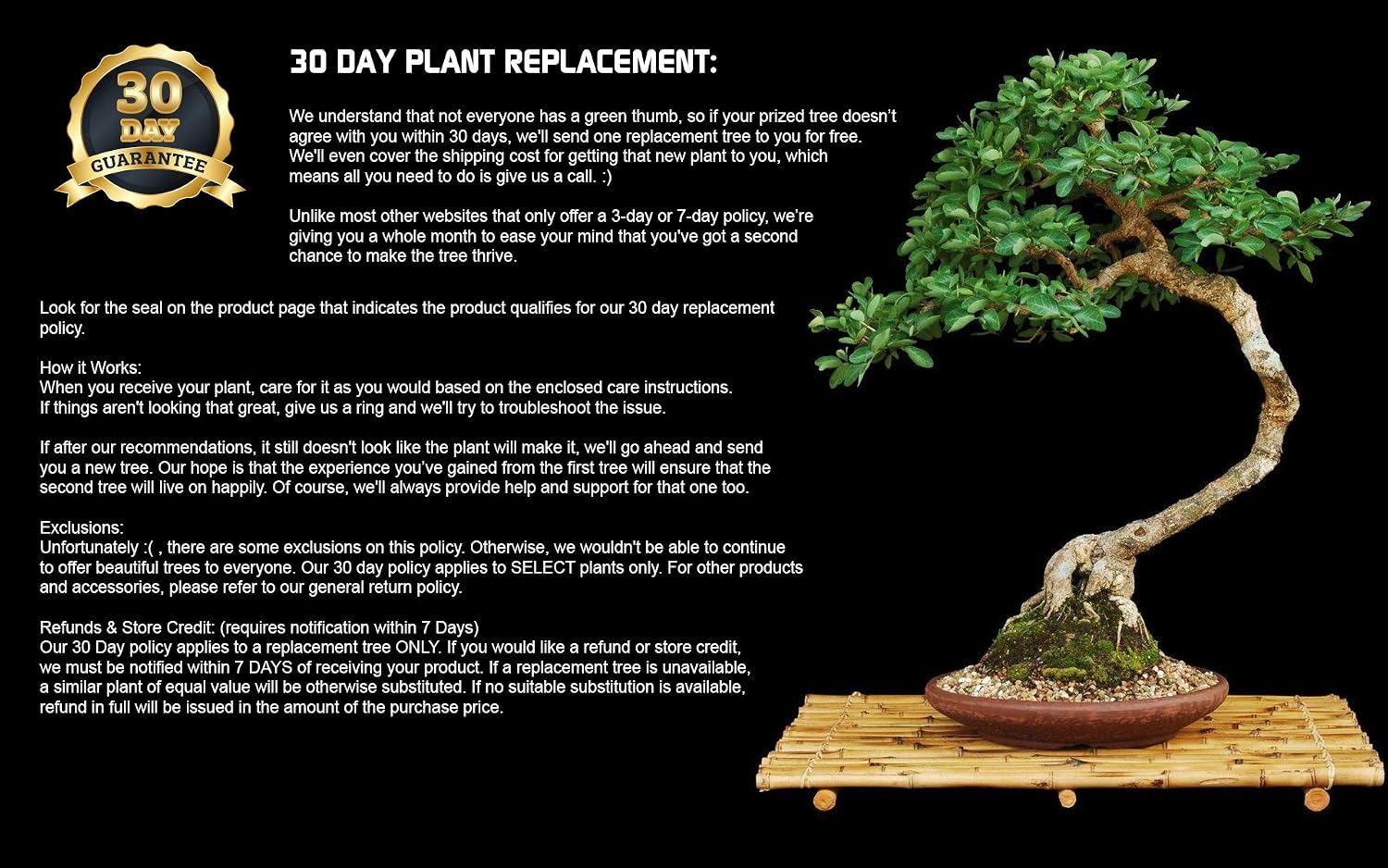 Gardening Planting Pots Plant Growing Guide Not Included Unique Gift For Men Women Bonsai Tree Garden Seed Starter Grow Miniature Trees Indoors Organic Seeds Only Soil Mix Kit Gardening Patio Lawn