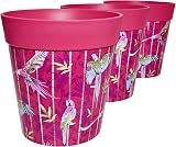 Hum Flowerpots 22cm Set of 3 Pink Parrots Plastic Plant Pots Indoor Outdoor