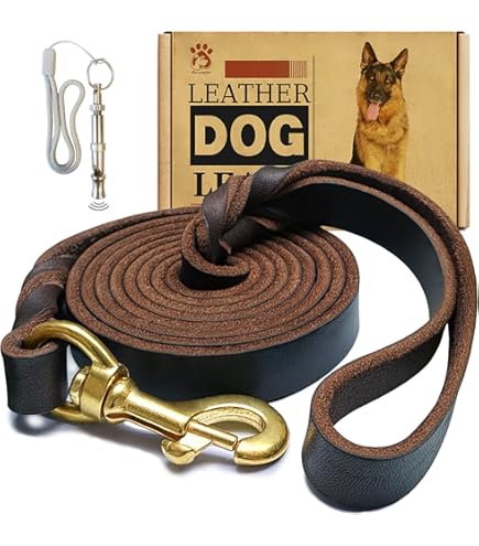 Amazon.com : OmniPet Leather Brothers 6-Feet x 1-Inch Nylon Dog