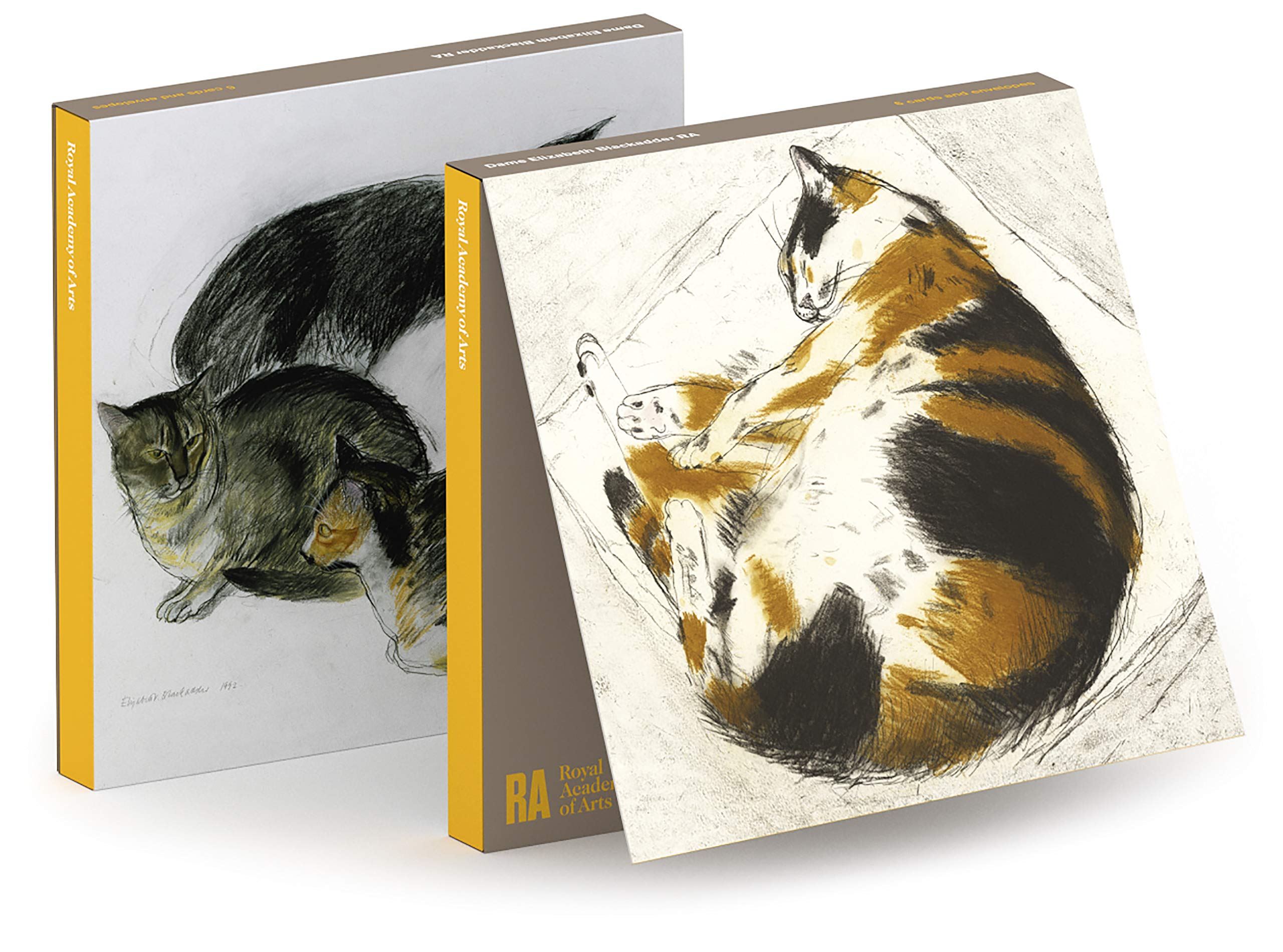 Royal Academy Elizabeth Blackadder Cats Set of 6 Art Greeting Cards (15 x 15cm)