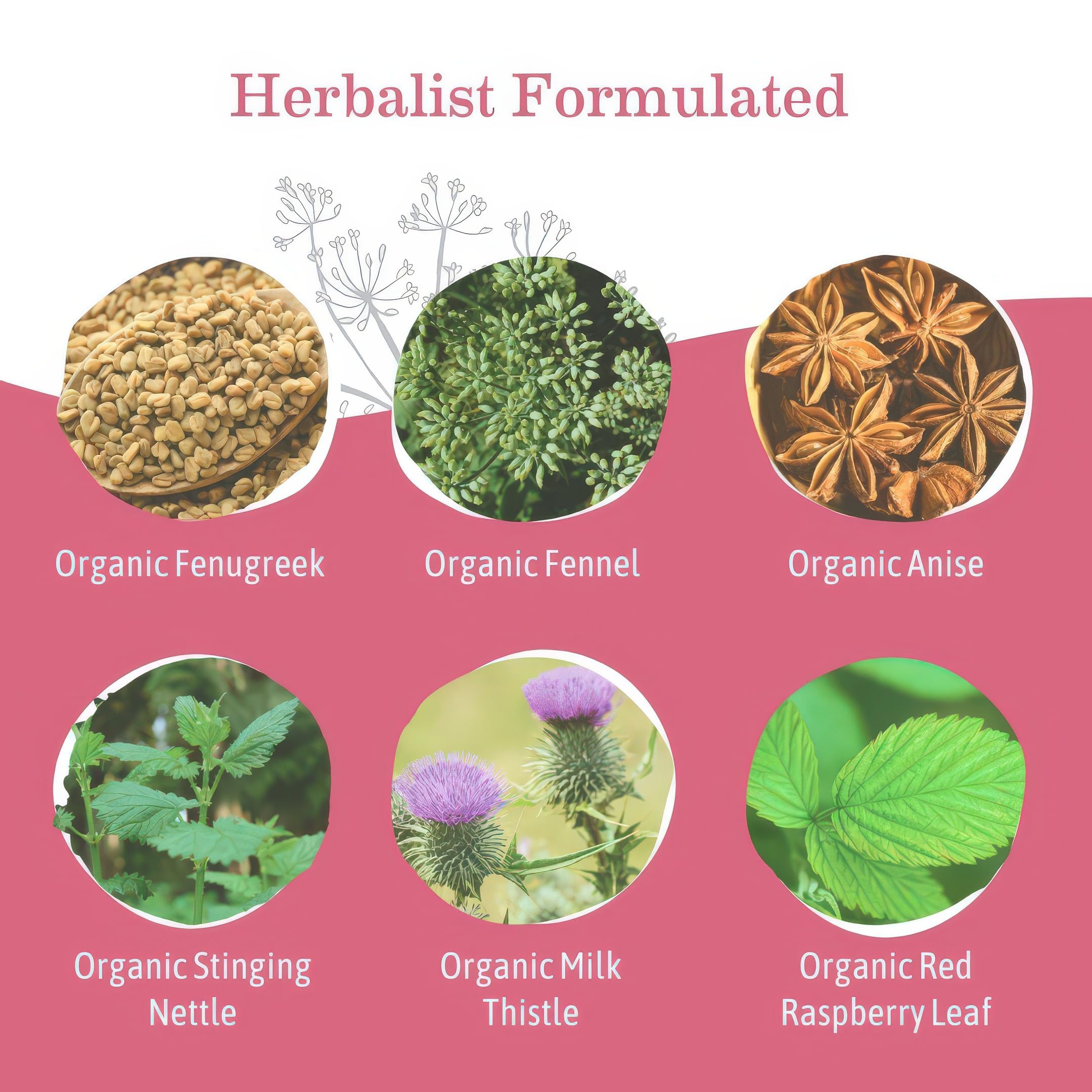 Earth Mama Organic Milkmaid® Tea | Lactation Support Herbal Tea Bags for Breastfeeding, Decaf Lactation Supplement for Increased Breast Milk Production, With Milk Thistle & Fenugreek (16 Count)