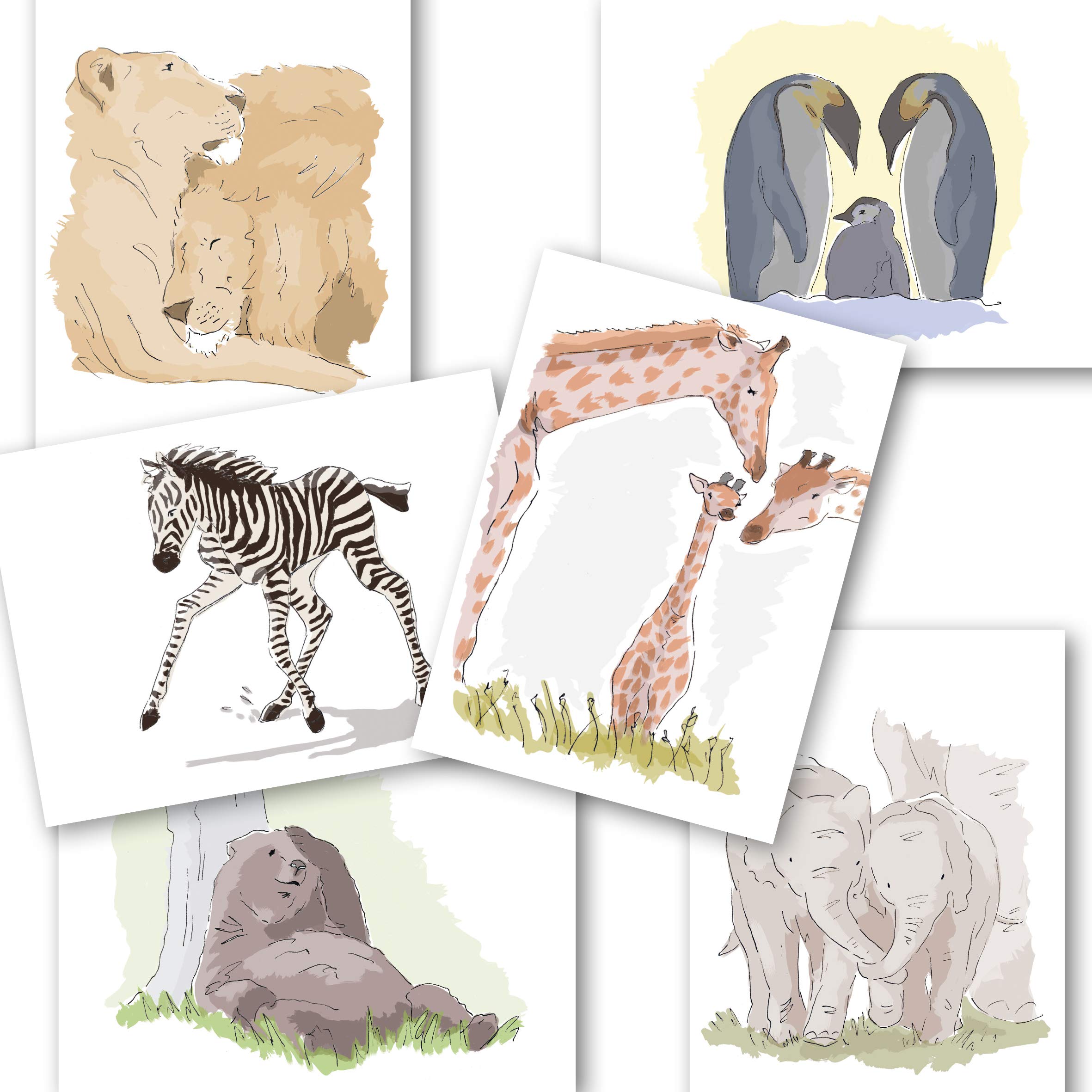 Greetings Cards for All Occasions. Pack of 48 Includes 6 Animal Designs. Ecofriendly Cards, Envelopes and Box. Blank Inside. (48 Pack)