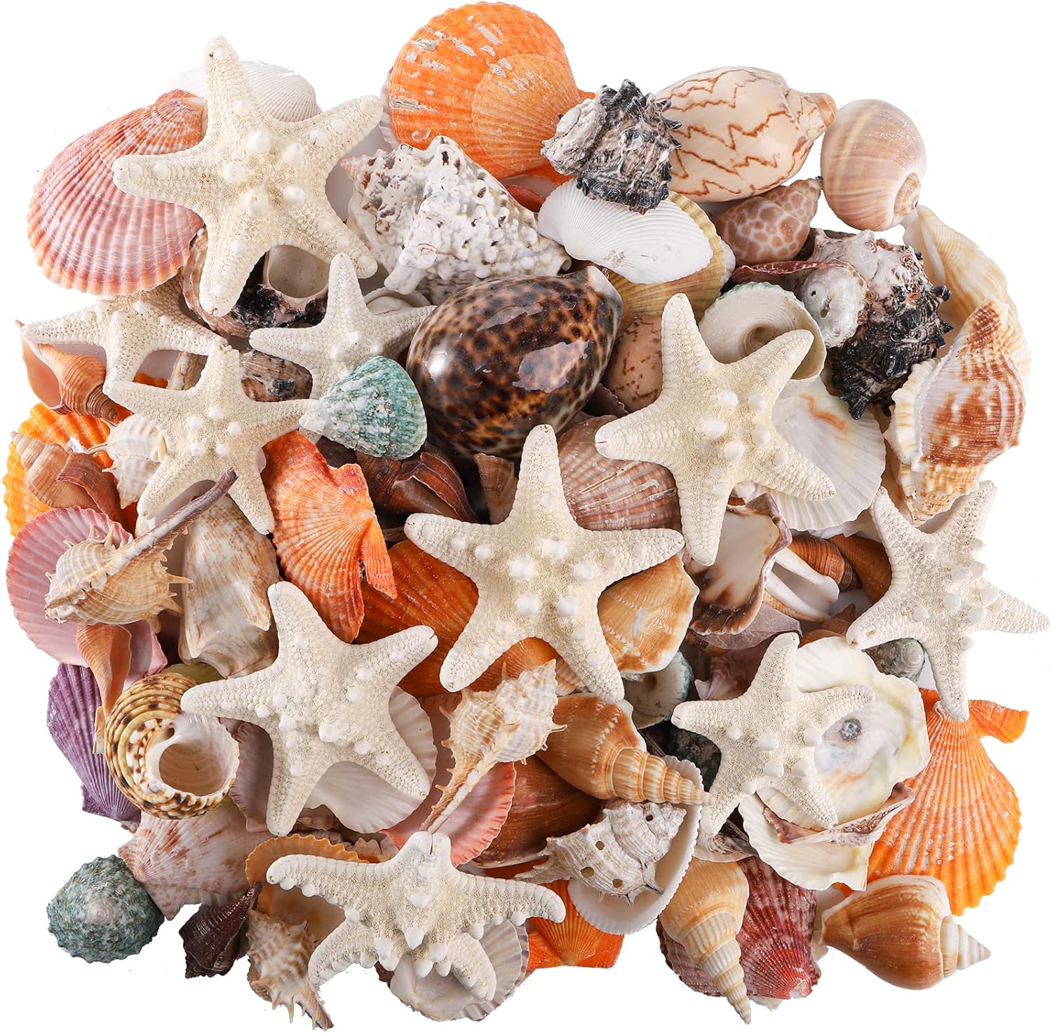 Vase Fillers - Okllen 2.2 Pounds Mixed Beach Seashells Starfish, Artificial Large Conch Shells Starfish Colorful Sea Shells for Beach Theme Party, Fish Tank, DIY Crafts, Wedding Decor, Home Decorations