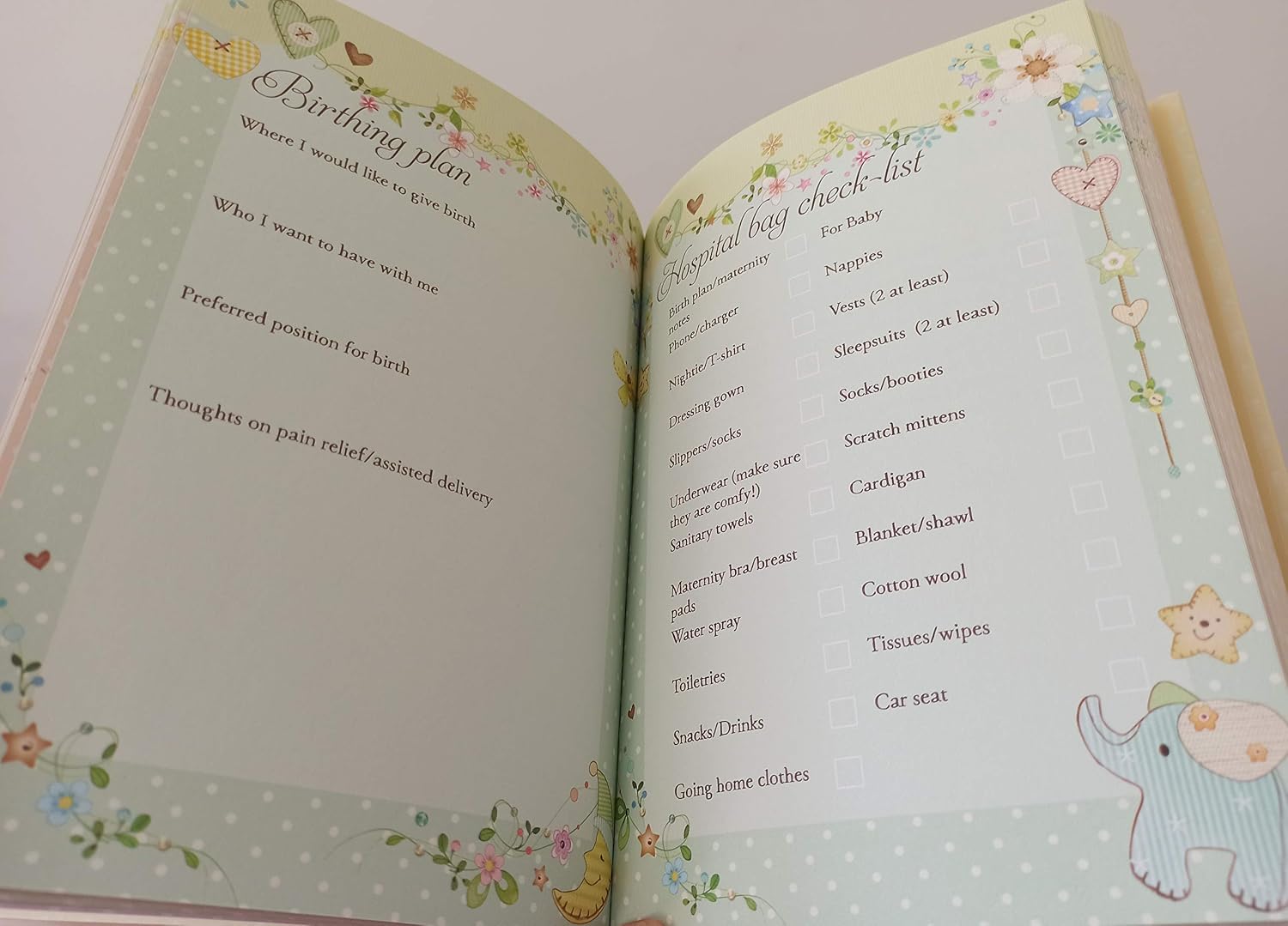 TANGDIAABBCC Baby Bump to 1st Birthday Journal - Image 4