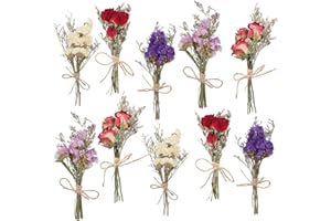 VAIPI 10 Pack Dried Flower Bouquets Mini Dried Flower with Stem Dried Embossing Natural Flower Bundles Artificial Flower Dried Floral Arrangement for Vase DIY Wedding Decor (Forget Me Not)