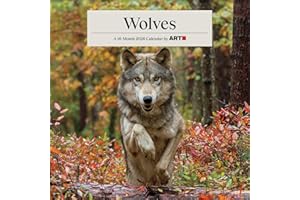 2026 Wolves Wall Calendar