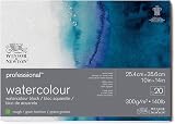 Winsor & Newton Watercolour Paper 100% Cotton 300 g/m² 25.4 x 35.6 cm