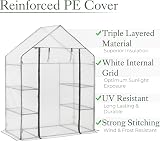 Christow Walk In Greenhouse with Shelves 6ft4in x 4ft7in x 2ft4in view 3