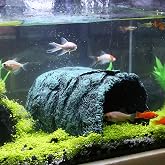 Hide Cave Aquarium Decorations Aquarium Terrarium Decor | Premium Resin Hideout for Reptiles &amp; Amphibians - Fish Hiding Spot with Realistic Moss Rock Look