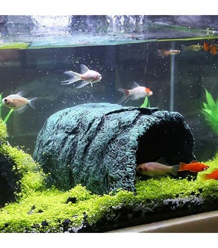 Grotte Pour Aquarium En Pierre Poreuse - 7x8 Cm - Refuge Pour Betta, Crevettes - Décoration Naturelle Et Sûre