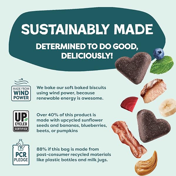SHAMELESS PETS SOFT-BAKED DOG TREATS, VARIETY 5-PACK – NATURAL & HEALTHY DOG CHEWS FOR SMALL, MEDIUM & LARGE DOGS – BISCUITS BAKED & MADE IN USA, FREE FROM GRAIN, CORN & SOY