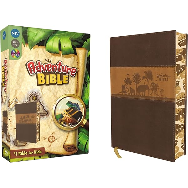 NIV, Adventure Bible, Leathersoft, Gray/Blue, Full Color