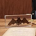 OPVICAM Taxidermy Bat - Real Bat Specimens Animal Specimen in Resin for Science Classroom Science Education, Great Gift for Fans of Taxidermy, Animal Skull, Oddities, Biology - 5.5x2.5x1 inch