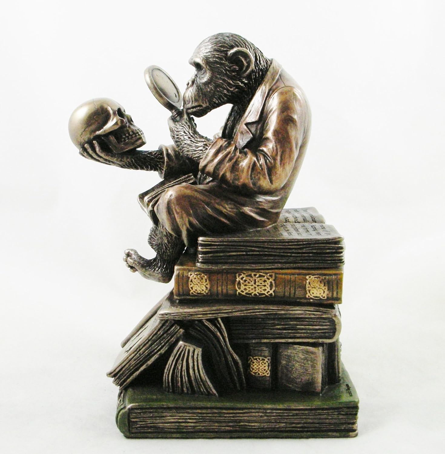 Darwin's Monkey Sitting on the Theory of Evolution by Charles Darwin