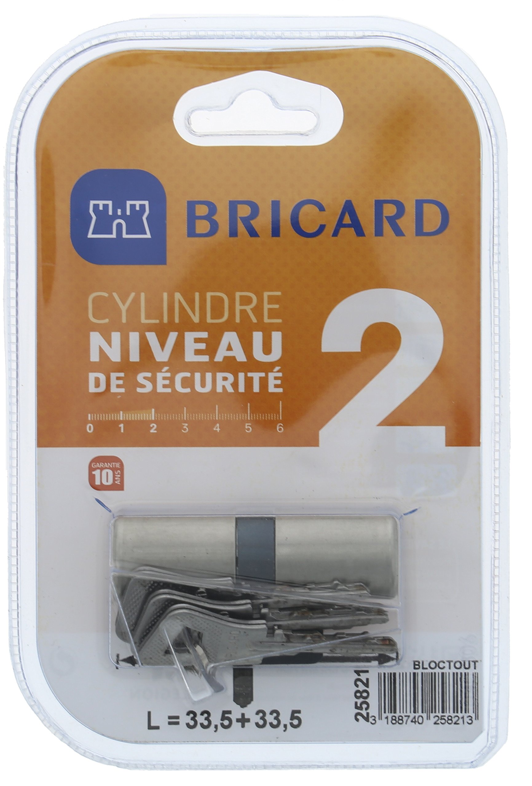 BRICARD 25821 Cylinder Lock bloctout Ø 21.5 mm