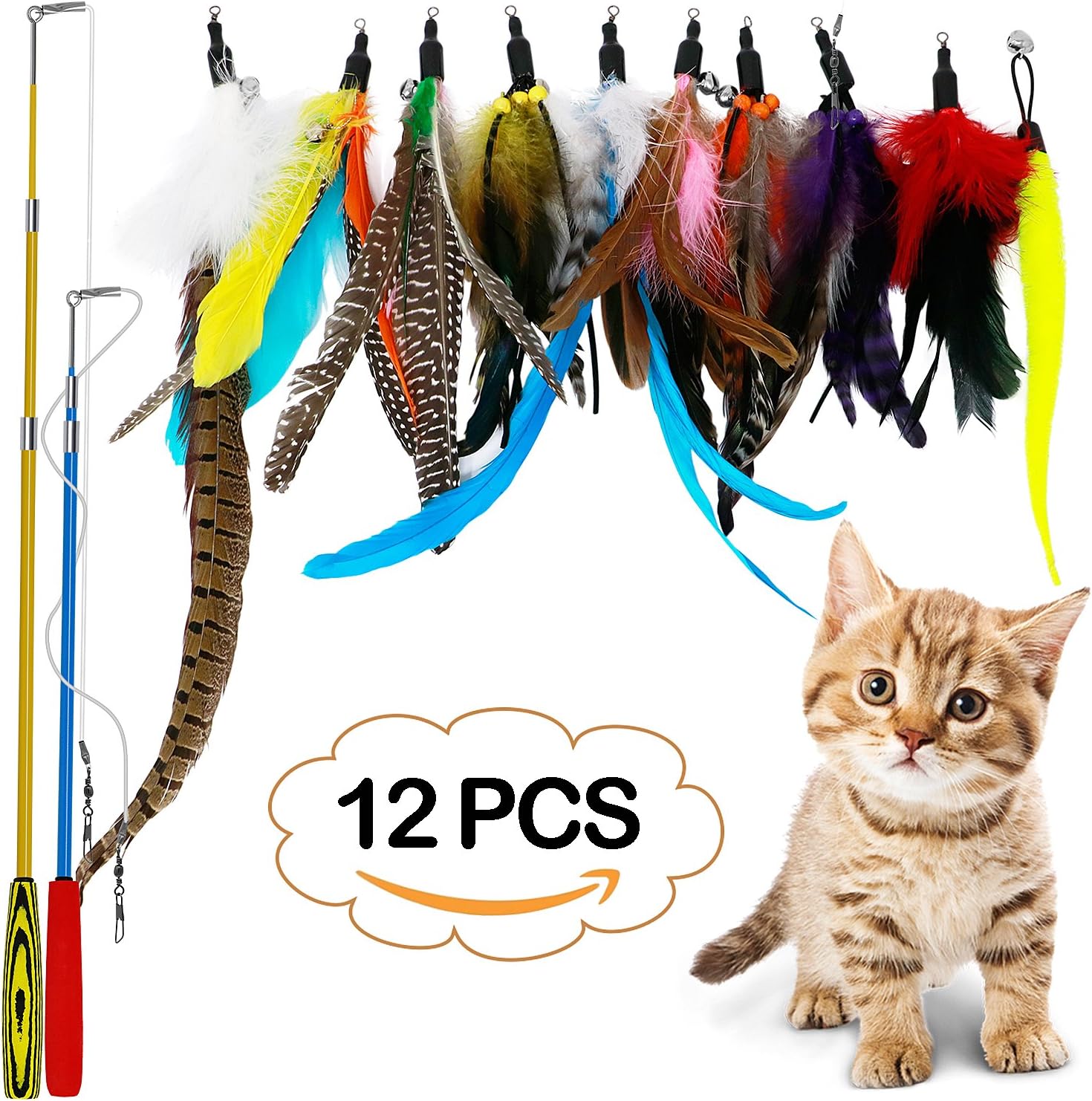 LlorenteRM Cat Interactive Toy Cat Feather Toys Teaser Retractable Wand Toy with 2 Poles 10 Attachments Cat Xmas Gifts Worm Birds Feathers Cat Toys for Kitten Cats