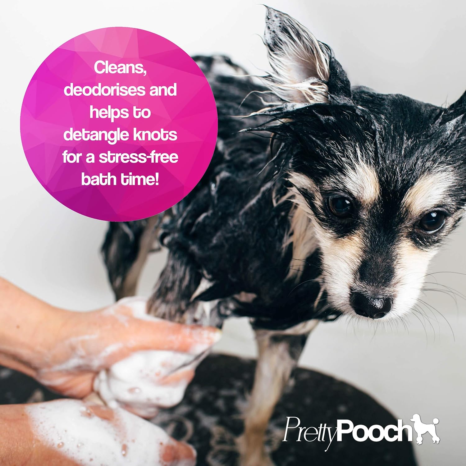 Pretty Pooch Gentle Touch Dog Shampoo & Conditioner (Baby Powder Fragrance), A Non-itchy - Image 4