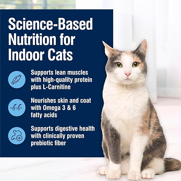 BLUE BUFFALO TRUE SOLUTIONS TOTAL SUPPORT NATURAL DRY CAT FOOD FOR ADULT CATS, CHICKEN, 3.5-LB. BAG