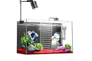 iPriro Fish Tank, 3 Gallon Ultra-Clear Glass Fish Aquarium, with Separator Plate for Betta, Fish Tank Starter kit with Filter and Led Light, Black