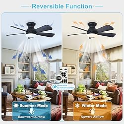 Depuley Modern Ceiling Fan with Light: 35-Inch