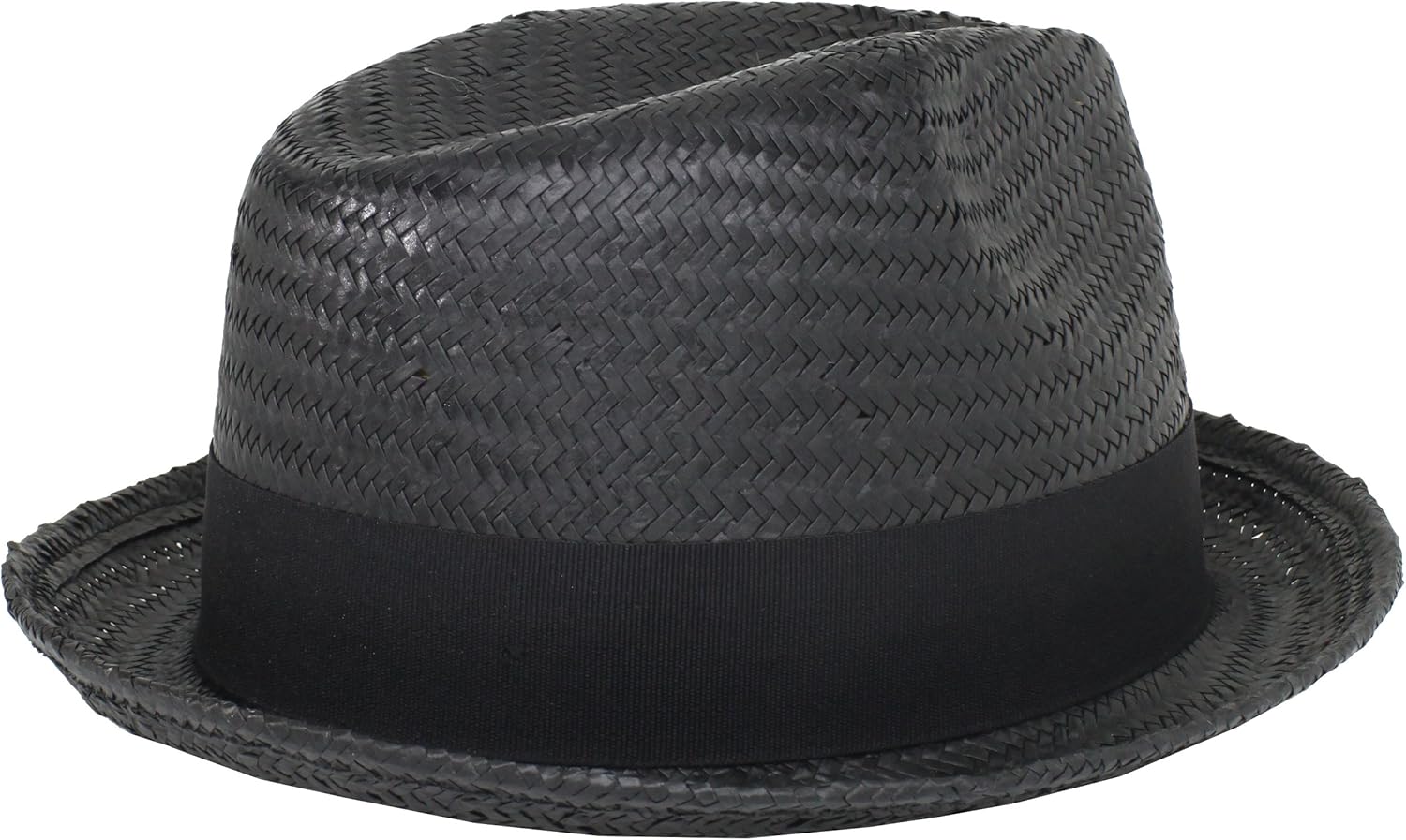 TEST Brixton The Castor Fedora: Clothing