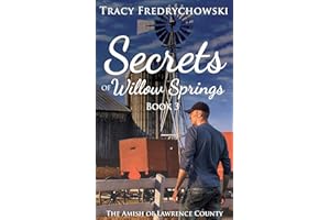 Secrets of Willow Springs - Book 3: The Amish of Lawrence County
